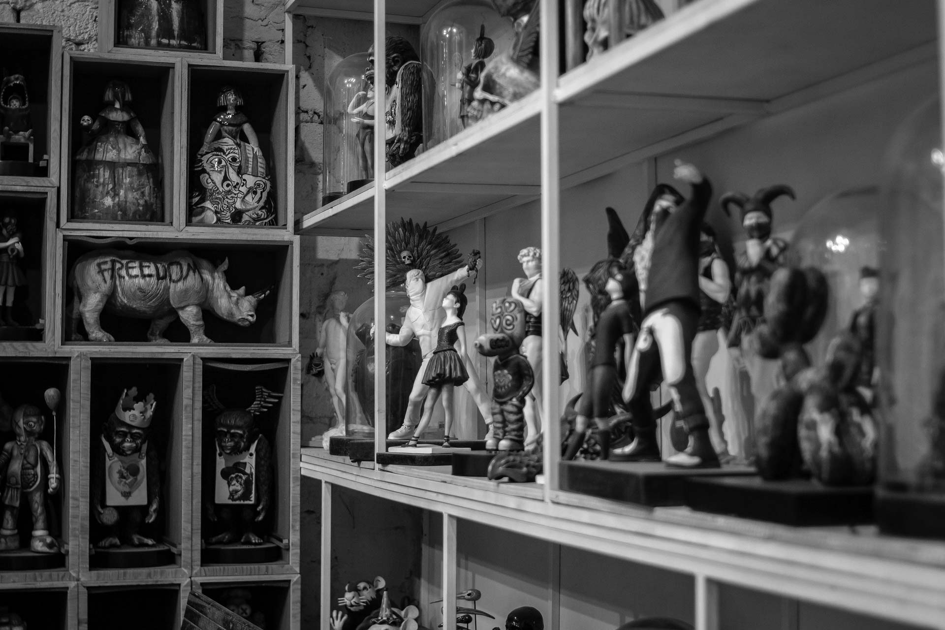 detalle-de-estudio-17